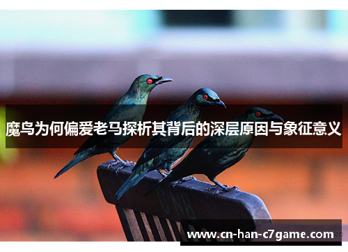 魔鸟为何偏爱老马探析其背后的深层原因与象征意义 魔鸟为何偏爱老马探析其背后的深层原因与象征意义