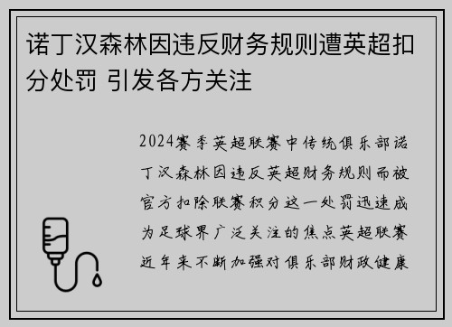 诺丁汉森林因违反财务规则遭英超扣分处罚 引发各方关注 诺丁汉森林因违反财务规则遭英超扣分处罚 引发各方关注