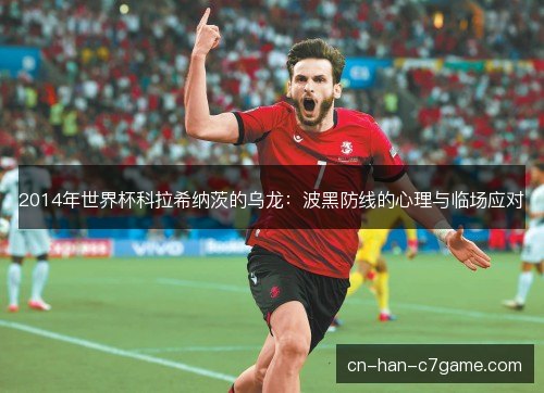 2014年世界杯科拉希纳茨的乌龙：波黑防线的心理与临场应对